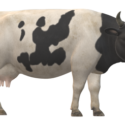cow.png real cow