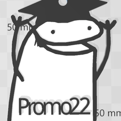 EGRESADO_PROMO22.png flork graduate promo22