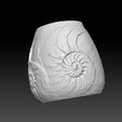 BPR_Composite4.jpg Ammonite vase (shell)