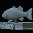 Bass-statue-33.png fish Largemouth Bass / Micropterus salmoides statue detailed texture for 3d printing