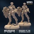 resize-001-6.jpg Seekers of the Ethernal Moon ALL VARIANTS - MINIATURES 2023