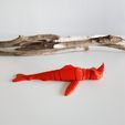 20220717_070722.jpg Red Bluster - The Sea Beast (Flexi)