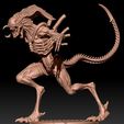 pretorian1.jpg Predator Alien (Predalien)