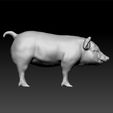 piggg3.jpg pig - realistic pig- pig toy- decorative Pig - decoration Pig