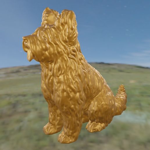 7.jpg Briard Berger de Brie