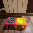 20240106_221811.jpg Feeder and drinker for dogs or cats