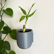 41.png Set of 6 Wall Planters!