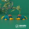 perry-ornitorrinco-articulado-4.jpg Perry The Platypus