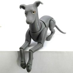 IMG_20200422_153923.jpg Archivo STL Greyhound BJD・Idea de impresión 3D para descargar