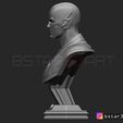 10.JPG The Flash Bust