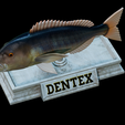 Dentex-mouth-statue-27.png fish Common dentex / dentex dentex open mouth statue detailed texture for 3d printing