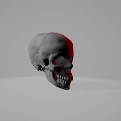 Askull.jpg Fichier STL gratuit Plus de crâne anatomique・Modèle à télécharger et à imprimer en 3D, AbysmalFiend