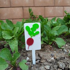 b37a7509-6038-4c58-be75-64a31f1903e6.jpg vegetable tag - radish