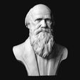 10.jpg Charles Darwin portrait sculpture 3D print model