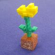 20240328_140947.jpg Minecraft Flower and earth cube