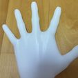 05.jpg Life-size hand