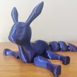 IMG_20220429_222741_716.jpg Articulating Flexi Umbreon