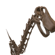 24.png Argentinosaurus : Esqueleto completo