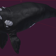 Ballena Entrega 1.PNG Кит