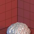 Brainroom 1.jpg 3D Mushrooms