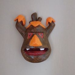download-3.jpg Elemental Rok-Ko DE CRASH BANDICOOT