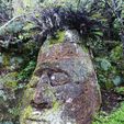 Roca.jpg Pirate carved in stone, Galapagos, Ecuador