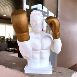 20220410_174354.jpg Boxing Statue STL