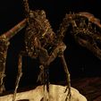 Velo-4.jpg Velociraptor Skeleton Diorama with T-Rex
