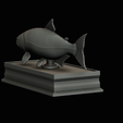 golden-dorado-statue-box-1-37.png fish golden dorado / Salminus brasiliensis with storage space / for 3d printing