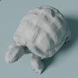 0003.png Tortue