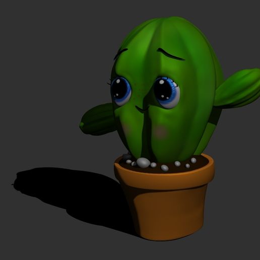 03.jpg vaso de cato bonito