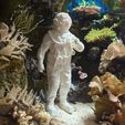 Taucher-Seite.jpg DIVER - Aquarium Sculpture