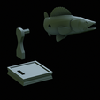 zander-trophy-52.png zander / pikeperch / Sander lucioperca fish in motion trophy statue detailed texture for 3d printing