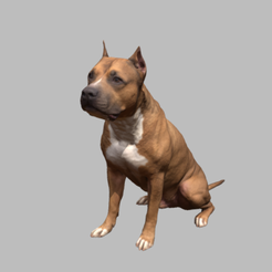 Captura.PNG Free STL file Pitbull・Object to download and to 3D print, Hardesigner