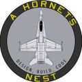 aHornetsNest