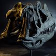 ceratosaurus-nasicornis-skull-replica.jpg Ceratosaurus nasicornis dinosaur skull