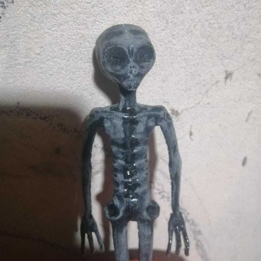 WhatsApp-Image-2023-09-17-at-2.06.49-AM-1.jpeg 秘鲁纳斯卡的外星木乃伊