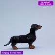 12.jpg Weenie the articulated real looking dachshund sausage dog toy