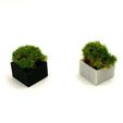 7.jpg STL file Micro Planter Chess Set・3D printable model to download