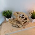 IMG_20210619_151807.jpg Majungasaurus Schädel 3D-Druck - Dinosaurier
