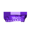 OrthoTrios_OrthoTriosColor_Appliance3_ScannedModel {Maxilla}.stl Tala Digital Dayguard