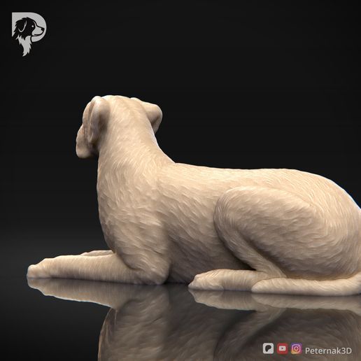 Boxer-Pose-09-Dog-3D-Print-6s.jpeg Chien Boxer Modèle imprimé en 3D Pose 09