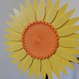 IMG_20220610_180704.jpg Sunflower | 3D Printable Sunflower ©