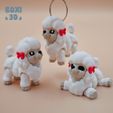 Pudlle_Img_Boxi3D_06.jpg POODLE - FLEXI - ARTICULATED - CUTE-PRINT IN PLACE