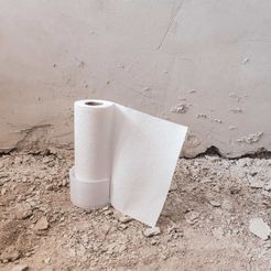 IMG_20210704_130530-min.jpg Free STL file roll&roll・3D print model to download