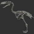 Kelenken-skeleton-matcap-2.png Kelenken guillermoi - terror bird skeleton 3D print model