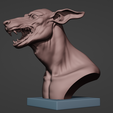 caninesculpt13.png Canine Sculpt