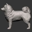 Samoyed-dog7.jpg 3D-Datei Samojeden Hund 3D-Druck Modell・3D-Druckvorlage zum Herunterladen