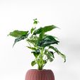 misprint-0038.jpg The Surno Planter Pot with Drainage | Tray & Stand Included | Modern and Unique Home Decor for Plants and Succulents  | STL File
