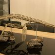 received_750140620352303.jpeg Elasmosaurus skeleton part3